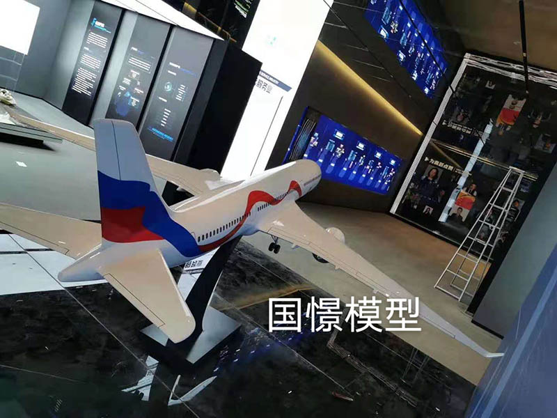 镇赉县飞机模型