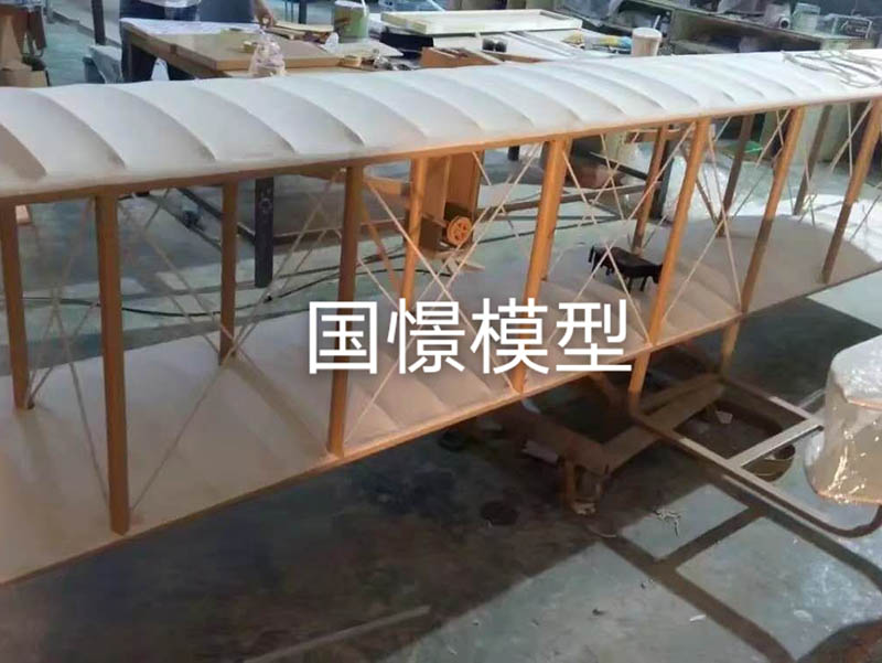 镇赉县飞机模型